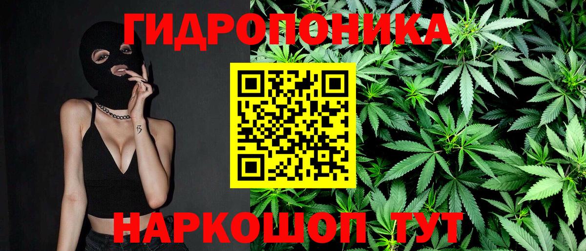 Конопля план  Бошки марихуана White Widow  Вход с VPN  Ангарск 